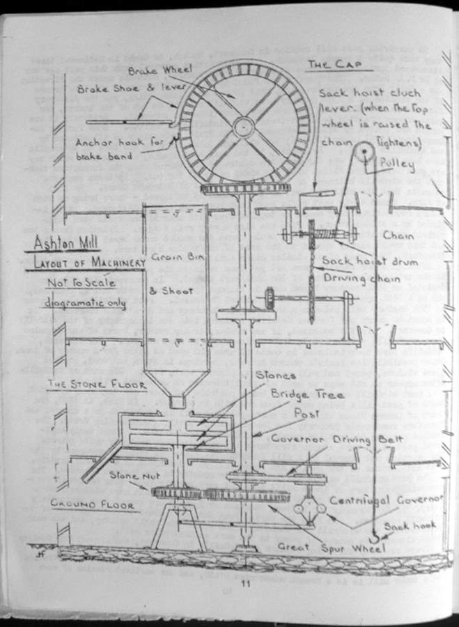 Page 11.jpg